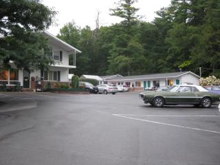 Brookside Motel & Cabins - Lake George - 6