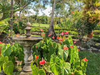 Casa Campestre estilo Chalet Los Pirineos - Cerca a Cali - Cali - 8