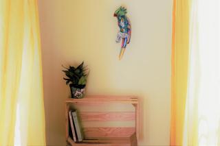 Casa Santaella - Puerto Escondido - 2