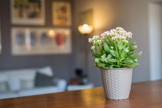 CAMBIONI ROOMS - Prato - 1