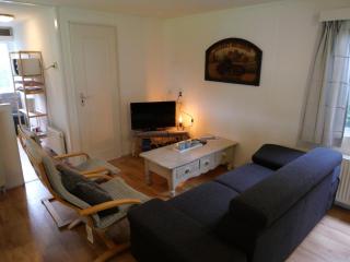 chalet lizzy - Voorthuizen - 2