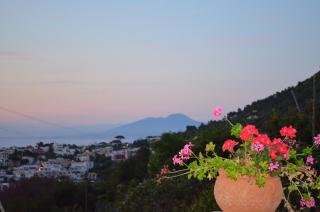Le Ginestre di Capri BB & Holiday House - Anacapri - 9
