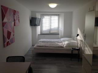 Stadtmitte Ferienwohnung Waldshut - Waldshut-Tiengen - 7