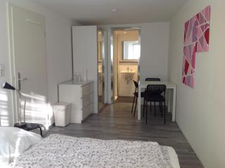 Stadtmitte Ferienwohnung Waldshut - Waldshut-Tiengen - 6