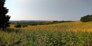 Les Gîtes de La Treille - 2