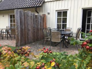 Ferienhaus Zander mit Sauna - Born - 8