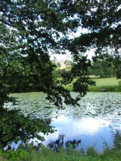 Abbey Farm Bed And Breakfast - Atherstone - 4