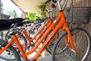 Appartamenti e Affittacamere Le Due Ruote - 8