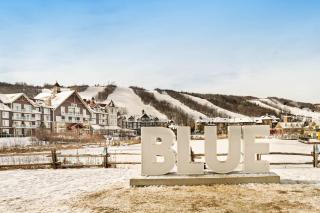 Wintergreen 202 - Blue Mountains - 6