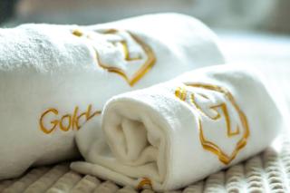 Golden Zaan Hotel, Zaandam-Amsterdam - Zaandam - 8