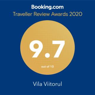 Vila Viitorul - Buşteni - 8