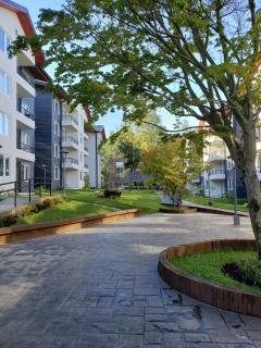 Sueños del Volcán - 6