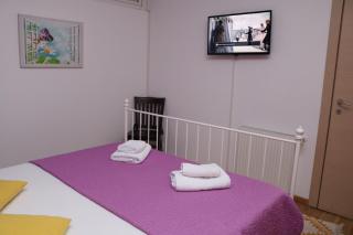 Flowers Apartments Timisoara - 7