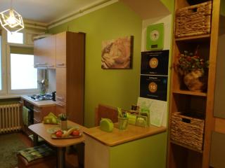 Green Apartment - Odorheiu Secuiesc - 6