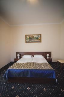 Boutique Hotel Villa P - Užhorod - 5