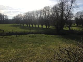 La gaîté de louvignies - Louvignies-Quesnoy - 1