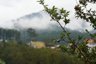 Homestay Da Blah - 1