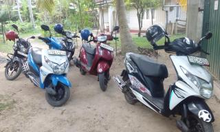 Villa Agrico and Surf Guest - Weligama - 5