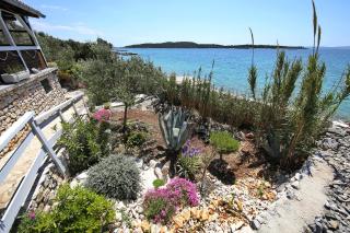House Starfish - Pašman - 1