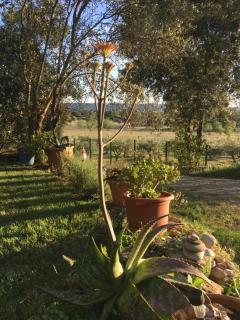 Shanti House Luberon - Cheval-Blanc - 8