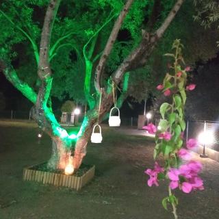 Nick and Sofi's House - Ormos Panagias - 1