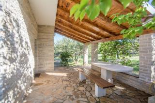 House Pygmy Cormorant - 7