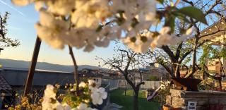 Albergo B&B Antica Trattoria Bacco - Circello - 2