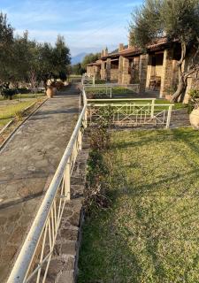 Elaionas Zeliou - Nafpaktos - 8