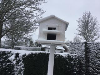 B&B Colombe Blanche - Knokke-Heist - 9