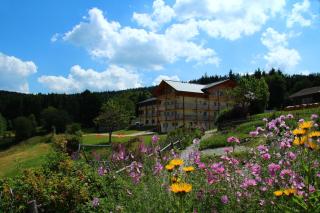 Berghotel Mooshütte - Lohberg - 4