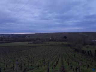 Bienvenue chez les GIBBS! - Sury-en-Vaux - 2