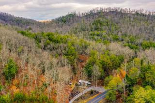 Smoky Mountain Tiny Home - 7