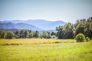 Smoky Mountain Tiny Home - 3