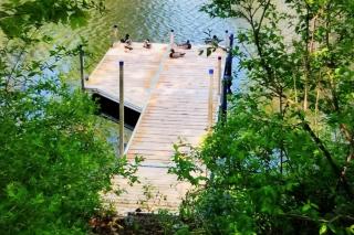 Wiggin Stream Camp - Greenville - 9