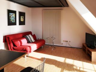 Boardinghouse-Modernes Dachstudio in guter Lage - Erfurt - 9
