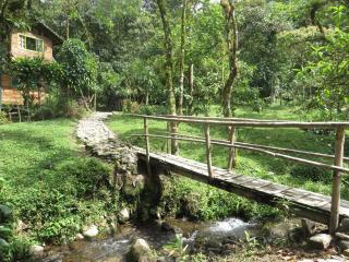 Mindo Eco Chalet con Rio y Cascada - Mindo - 1