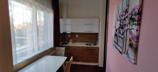 Brasna apartment 3-Kupalisko - Nové Zámky - 4