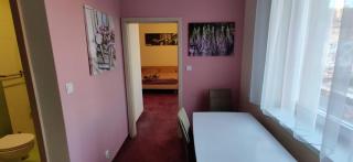 Brasna apartment 3-Kupalisko - Nové Zámky - 7