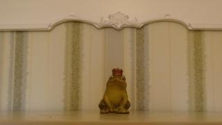 Sweet Shelter - Cosenza - 7