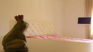 Sweet Shelter - Cosenza - 6