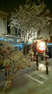 Au Coeur De Magog - Magog-Orford - 5