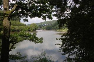 Ferienwohnung Roeben - 2