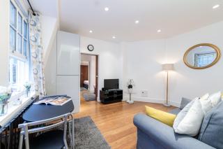 Oxford Circus Luxury Holiday Let - 7