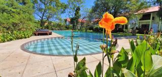 Blue Turtle Hotel - Tissamaharama - 0