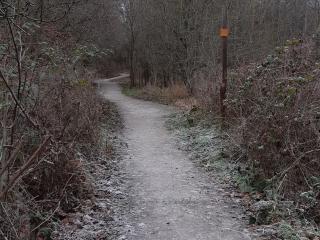 Ferienwohnungen Landleben - Kammerforst - 9
