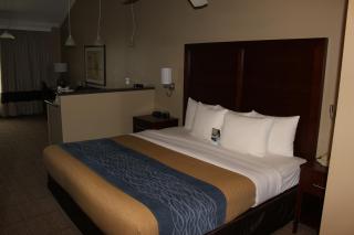 Comfort Inn & Suites Ocean Shores - 5