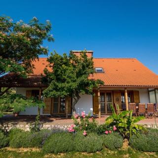 BorászPorta - Villány - 0