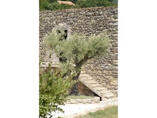 Domaine de Cousignac - Bourg-Saint-Andéol - 6