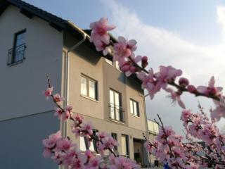 Pension Susanne - Bruttig-Fankel - 5