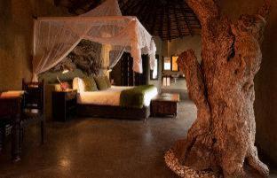 Pondoro Game Lodge - Naturschutzgebiet Balule - 5